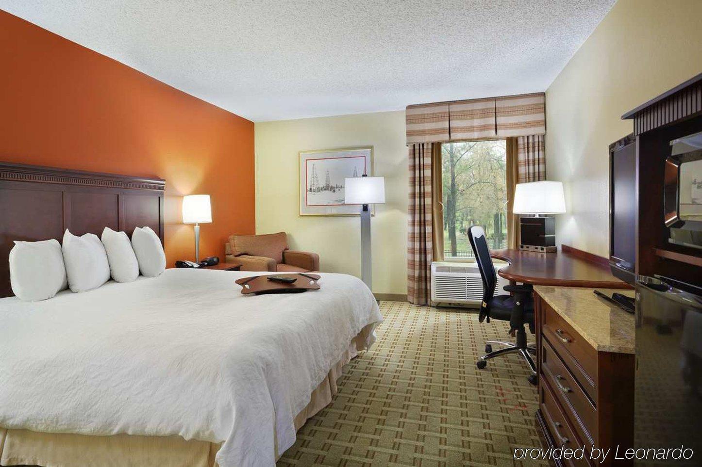 Hampton Inn Houston Near The Galleria Eksteriør billede